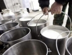 Propao plan BiH za izvoz mlijeka