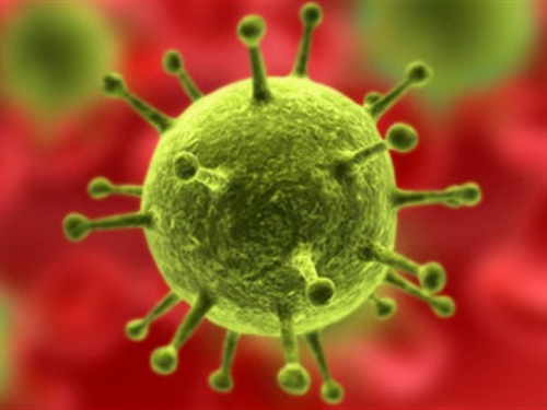 Virus ptičje gripe registriran u Njemačkoj, širi se Europom