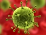 Virus ptičje gripe registriran u Njemačkoj, širi se Europom