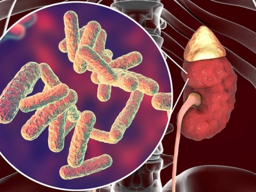 Znanstvenici testiraju novi antibiotik, uništavat će čak i superbakterije?