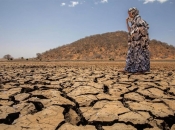 3,1 milijuna ljudi gladuje zbog suše