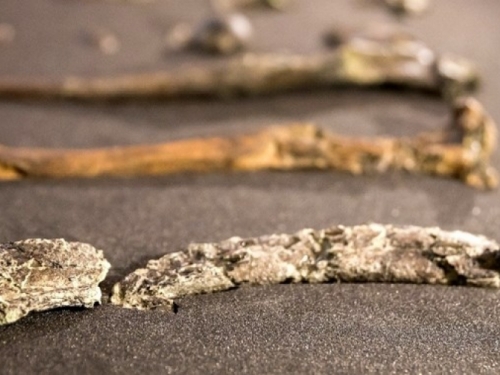 Znanstvenici pronašli tragove brutalnih sukoba, dogodili su se prije 13.400 godina