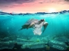 UN: Oporavak prirode tijekom lockdowna bio je privremen, hitno treba zaštititi oceane