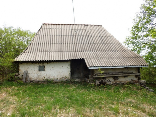 FOTO: ''Škola u prirodi'' na planini Draševo