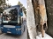 Nijemci isključili bh. autobus iz prometa