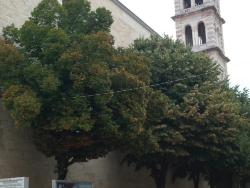 FOTO: STK 'Prozor-Rama' nastupao na turniru u Sinju