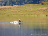 Ramsko jezero - jesen 2014.