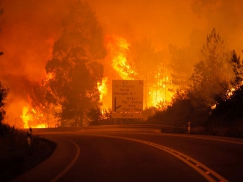 Najmanje 57 mrtvih u požaru u Portugalu, ljudi su gorjeli u svojim automobilima