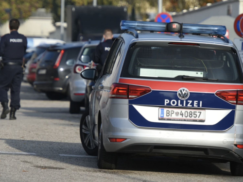 Mladić iz BiH nožem izbo 16-godišnjaka u Austriji