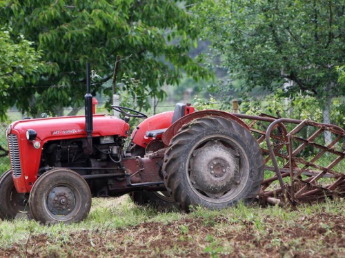 Gasimo domaće, uvozimo tuđe: Na uvoz hrane trošimo više od 3 milijarde KM