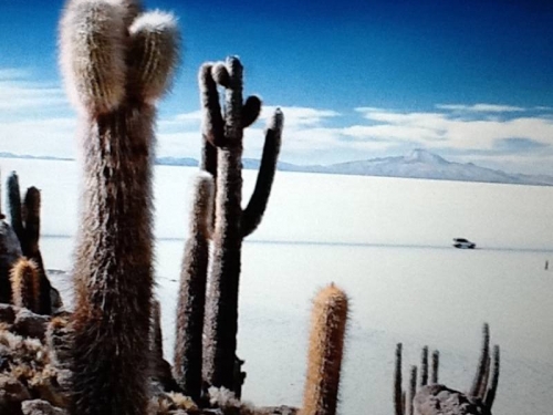 FOTO: Ramljak na krovu Južne Amerike i u najsušnijoj pustinji na svijetu