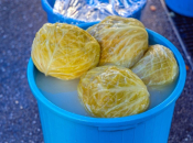 Najčešće pogreške zbog kojih vam se kiseli kupus kvari