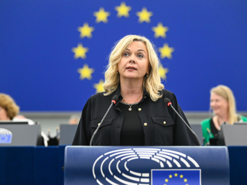 Zovko: EU mora odgovoriti što želi s BiH i malobrojnim Hrvatima koji u njoj ostaju