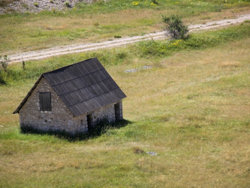 FOTO: U pohode hajdučkoj planini