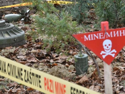 Baltičke države napustile Sporazum o protupješačkim minama