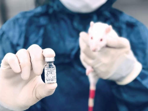 Rusija prva registrirala cjepivo protiv koronavirusa za životinje