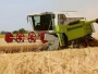 Rusko ministarstvo obrane dogovara s Turskom koridor za žito
