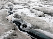 Znanstvenici o stanju na Antarktici: Može se ponoviti scenarij zadnjeg ledenog doba