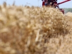 Čeka li nas nakon 22. listopada veliki rast cijena žitarica?
