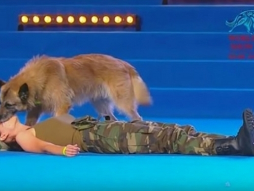 Pogledajte kako pas oživljava vojnikinju koja je ostala bez svijesti