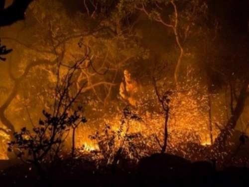 Vatra guta sjever Italije, masovne evakuacije zbog šumskih požara