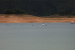 FOTO: Na Ramskom jezeru održana 10. veslačka regata