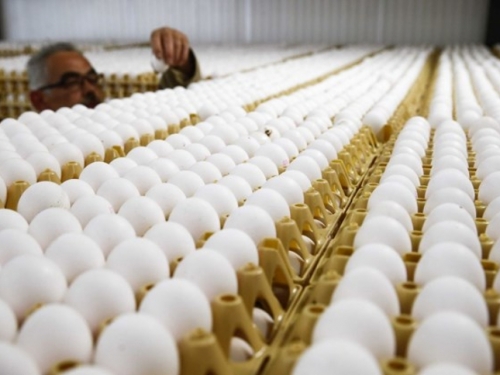 S polica trgovina se povlače jaja puna zabranjenog pesticida