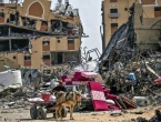 Hamas i Palestina pozdravili rezoluciju o primirju u Gazi