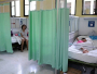 Virus zika više ne predstavlja zdravstvenu prijetnju u svijetu