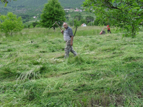 FOTO: Počela je sezona koševine