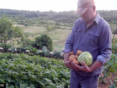 Hercegovački poljoprivrednici na izdisaju