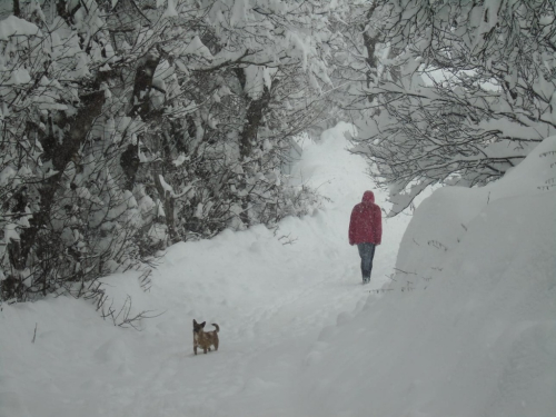 FOTO: Visina snijega na Orašcu 76 cm