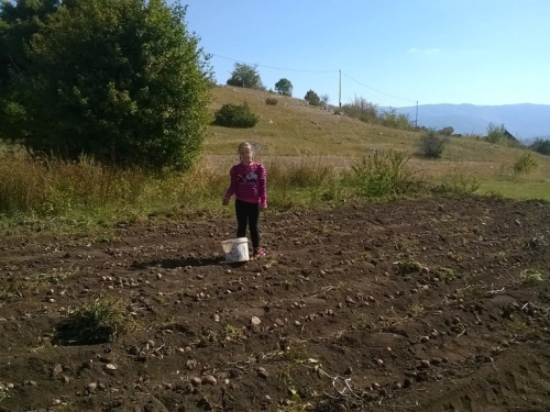 Ubiranje plodova svoga rada