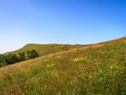 Ravašnica - sveto ramsko tlo!