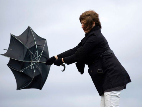 Vakula objavio dugoročnu prognozu