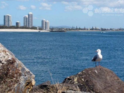 Australija otvara granicu