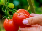 Trik za male vrtove - možete uzgojiti 30 vrsta povrća