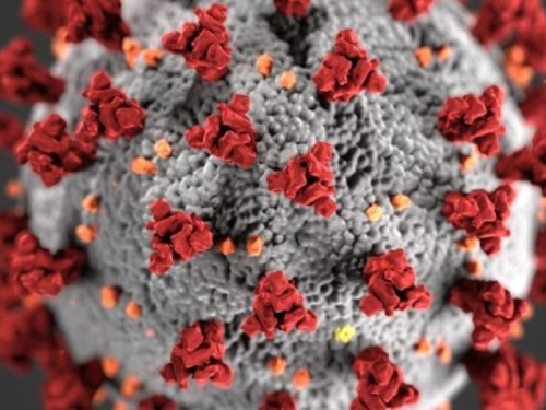 Svijetom se širi nova verzija koronavirusa, to je sada dominantan oblik