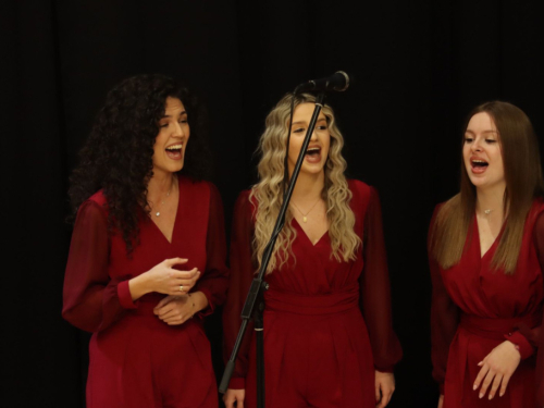 FOTO/VIDEO: U Prozoru održana manifestacija ''Mom gradu na dar''