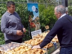 Hercegovački mladi krumpir na policama trgovina u EU