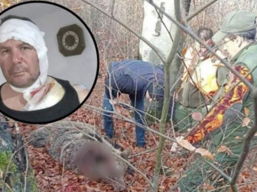 Lovac preživio napad medvjedice
