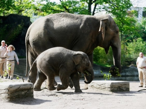 Oporučno ostavlja njemačkom zoološkom vrtu 22 milijuna dolara