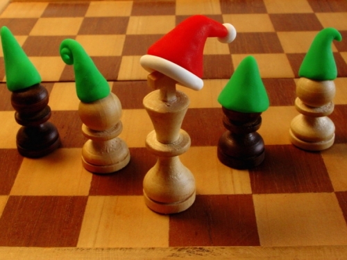 Božićni šahovski turnir za kadete i kadetkinje "RAMA OPEN 2014"