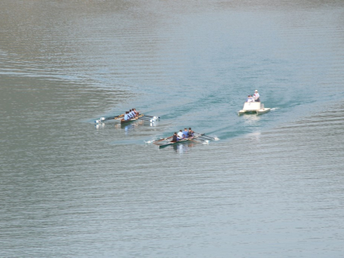 FOTO/VIDEO: Na Ramskom jezeru održana 9. veslačka regata