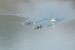 FOTO/VIDEO: Na Ramskom jezeru održana 9. veslačka regata