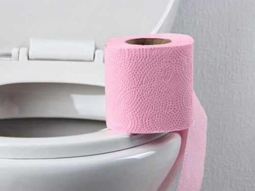 Evo zašto nikad ne biste trebali stavljati papir na wc školjku