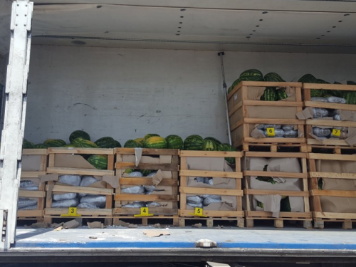 U kamionu iz Hercegovine među lubenicama gotovo pola tone marihuane