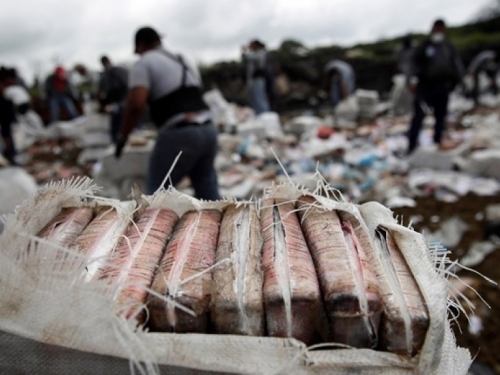 U Kolumbiji zaplijenjeno gotovo 5.5 tona kokaina, vrijedi 185 milijuna dolara