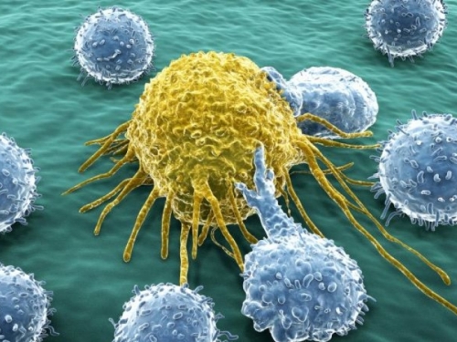 Otkriće koje budi nadu: Testni lijek UNIŠTIO stanice raka dok se dijele!