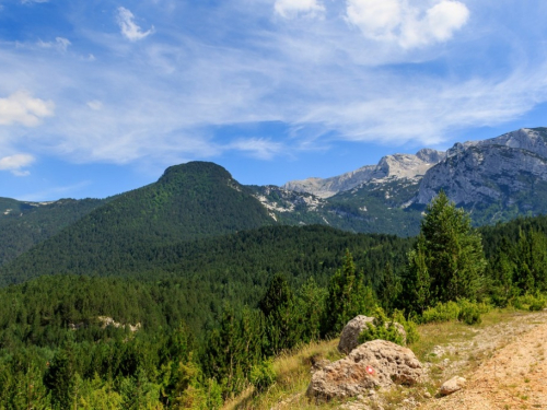 FOTO: U pohode hajdučkoj planini